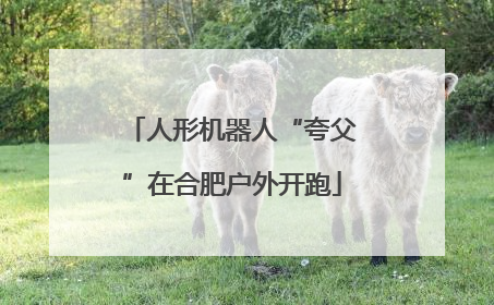 人形机器人“夸父”在合肥户外开跑