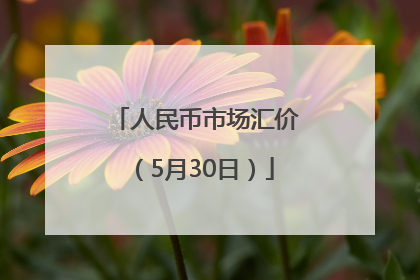 人民币市场汇价（5月30日）