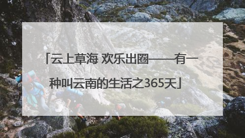 云上草海 欢乐出圈——有一种叫云南的生活之365天