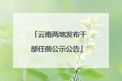 云南两地发布干部任前公示公告