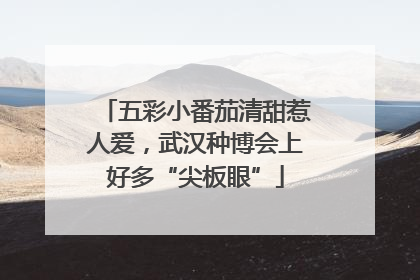 五彩小番茄清甜惹人爱，武汉种博会上好多“尖板眼”