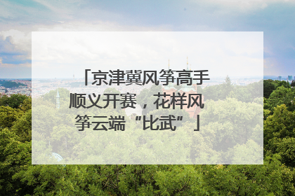 京津冀风筝高手顺义开赛，花样风筝云端“比武”