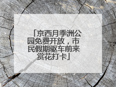 京西月季洲公园免费开放，市民假期驱车前来赏花打卡