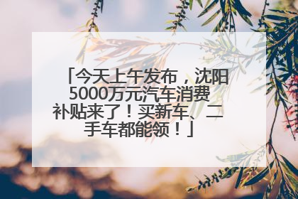 今天上午发布，沈阳5000万元汽车消费补贴来了！买新车、二手车都能领！