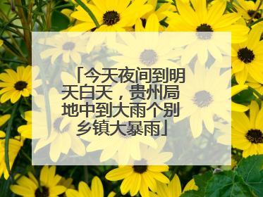 今天夜间到明天白天，贵州局地中到大雨个别乡镇大暴雨