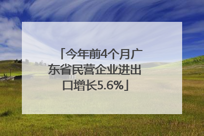 今年前4个月广东省民营企业进出口增长5.6%