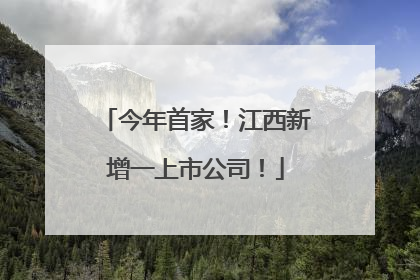 今年首家！江西新增一上市公司！