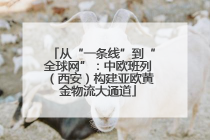 从“一条线”到“全球网”：中欧班列（西安）构建亚欧黄金物流大通道