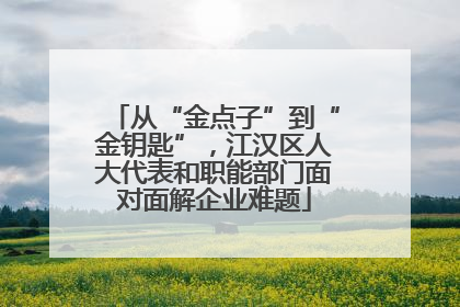 从“金点子”到“金钥匙”，江汉区人大代表和职能部门面对面解企业难题