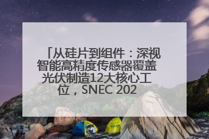 从硅片到组件：深视智能高精度传感器覆盖光伏制造12大核心工位，SNEC 2025诚邀见证