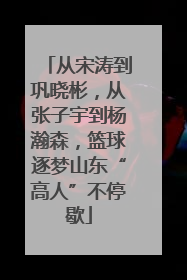 从宋涛到巩晓彬，从张子宇到杨瀚森，篮球逐梦山东“高人”不停歇