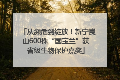 从濒危到绽放！新宁崀山600株“国宝兰”获省级生物保护嘉奖