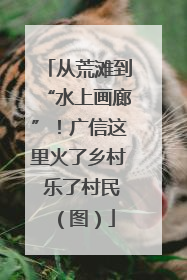 从荒滩到“水上画廊”！广信这里火了乡村 乐了村民（图）