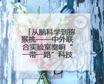 从脑科学到猕猴桃——中外联合实验室奏响“一带一路”科技合作交响曲