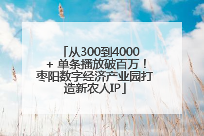 从300到4000+ 单条播放破百万！枣阳数字经济产业园打造新农人IP