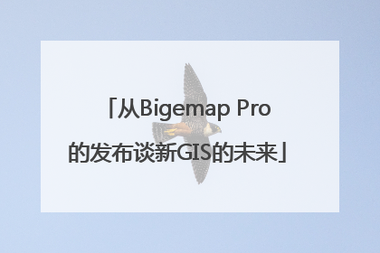 从Bigemap Pro的发布谈新GIS的未来