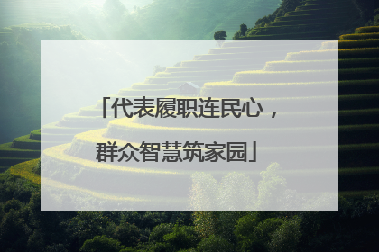 代表履职连民心，群众智慧筑家园