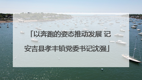 以奔跑的姿态推动发展 记安吉县孝丰镇党委书记沈强