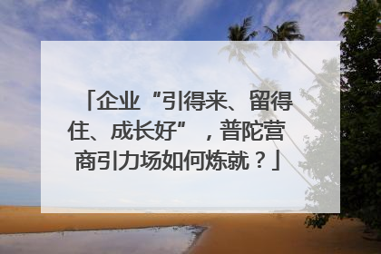 企业“引得来、留得住、成长好”，普陀营商引力场如何炼就？