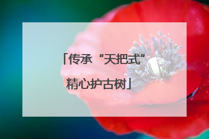 传承“天把式” 精心护古树