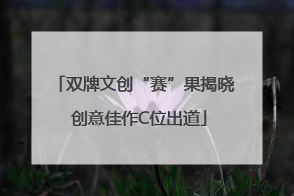双牌文创“赛”果揭晓 创意佳作C位出道