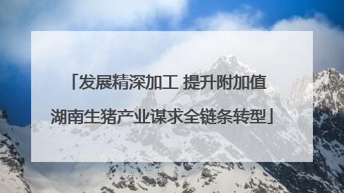 发展精深加工 提升附加值 湖南生猪产业谋求全链条转型