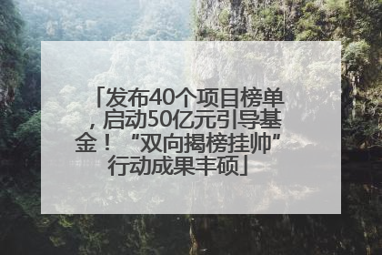 发布40个项目榜单，启动50亿元引导基金！“双向揭榜挂帅”行动成果丰硕