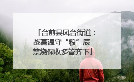 台前县凤台街道：战高温守“粮”辰 禁烧保收多管齐下