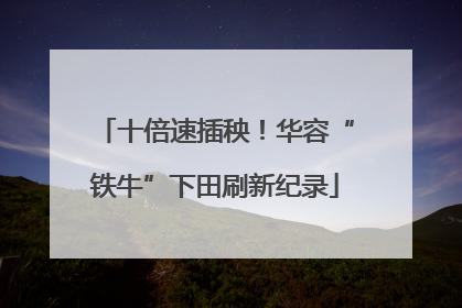 十倍速插秧！华容“铁牛”下田刷新纪录