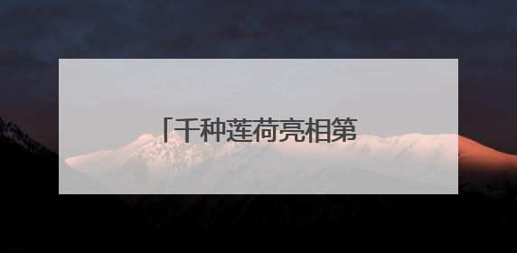 千种莲荷亮相第37届广州莲花山莲花文化旅游节