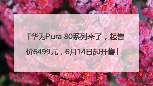 华为Pura 80系列来了，起售价6499元，6月14日起开售