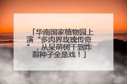 华南国家植物园上演“多肉界玫瑰传奇”，从呆萌树干到炸裂种子全是戏！