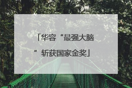 华容“最强大脑”斩获国家金奖