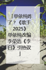 单依纯咋了？《歌手2025》单依纯改编李荣浩《李白》引热议