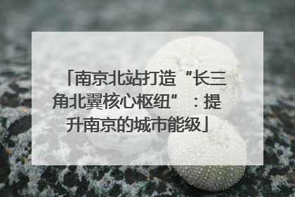 南京北站打造“长三角北翼核心枢纽”：提升南京的城市能级
