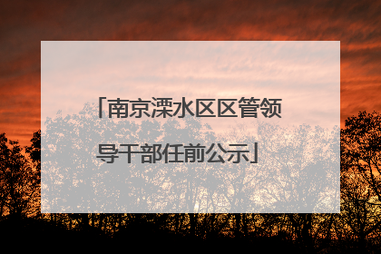 南京溧水区区管领导干部任前公示