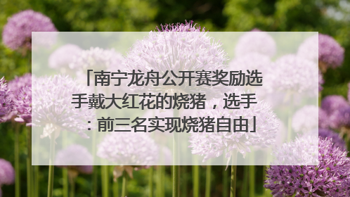 南宁龙舟公开赛奖励选手戴大红花的烧猪，选手：前三名实现烧猪自由