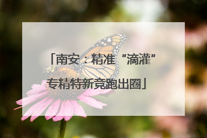 南安：精准“滴灌”专精特新竞跑出圈