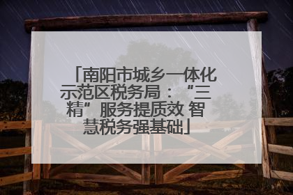 南阳市城乡一体化示范区税务局：“三精”服务提质效 智慧税务强基础