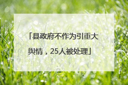 县政府不作为引重大舆情，25人被处理