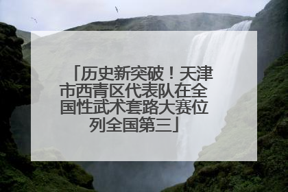 历史新突破！天津市西青区代表队在全国性武术套路大赛位列全国第三