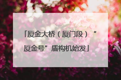 厦金大桥（厦门段）“厦金号”盾构机始发