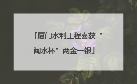 厦门水利工程喜获“闽水杯”两金一银