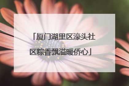 厦门湖里区濠头社区粽香飘溢暖侨心