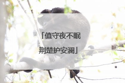 值守夜不眠 荆楚护安澜