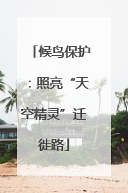 候鸟保护：照亮“天空精灵”迁徙路