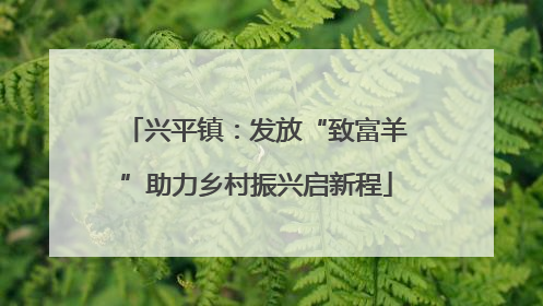 兴平镇：发放“致富羊”助力乡村振兴启新程