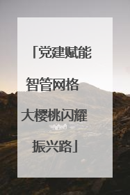 党建赋能智管网格 大樱桃闪耀振兴路
