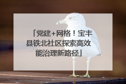 党建+网格！宝丰县铁北社区探索高效能治理新路径