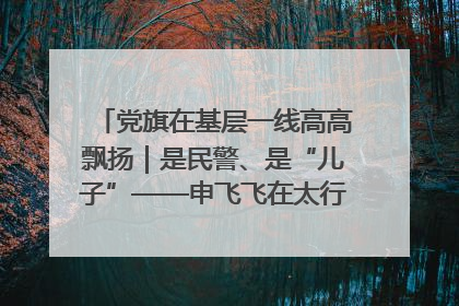 党旗在基层一线高高飘扬｜是民警、是“儿子”——申飞飞在太行山中的一线坚守
